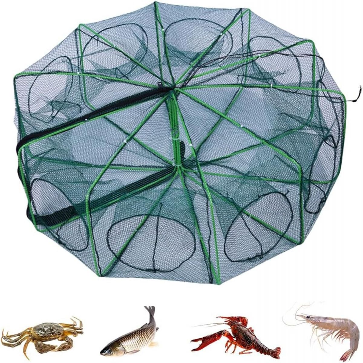 Generic 2024 Magic Foldable Fishing Trap Kit for Minnows Shrimp Crawfish and Crabs