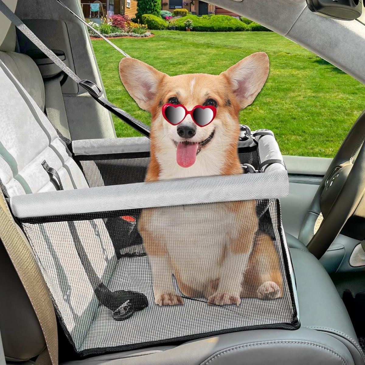 XRDDFL Small Dog Car Seat Washable Safe Travel Seat for Pets Under 40 lbs