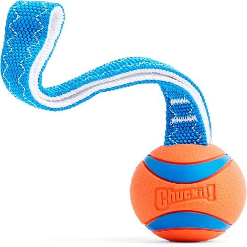 Chuckit Ultra Tug Dog Toy for Dogs 20-60 Pounds