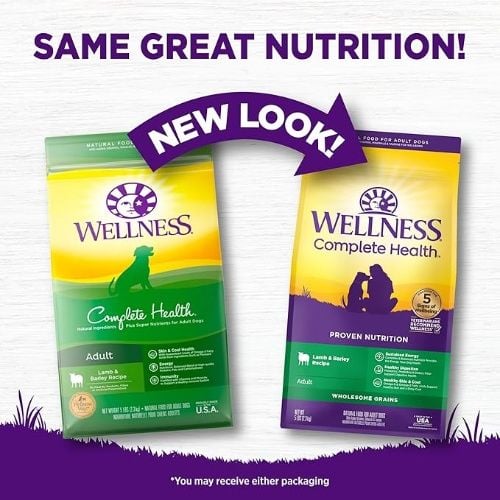 Wellness Complete Health Dry Dog Food with Grains, Natural Ingredients, Real Meat, 5 lbs, Bag
