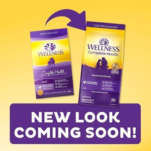 Wellness Complete Health Dry Dog Food with Grains, Real Meat & Natural Ingredients, Nutrients for Immune, Skin, & Coat Support, 30 lb