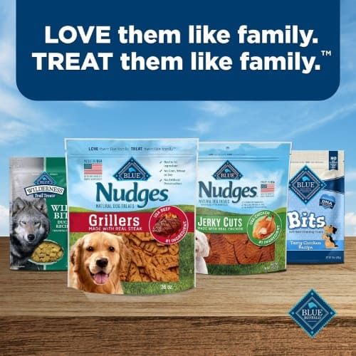 Blue Buffalo Nudges Grillers Natural Dog Treats with Real USA Beef, Steak, 36 oz Bag