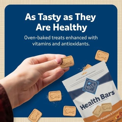 Blue Buffalo Health Bars Crunchy Dog Biscuits, Oven-Baked, Natural Ingredients, Pumpkin and Cinnamon, 16 oz, Bag