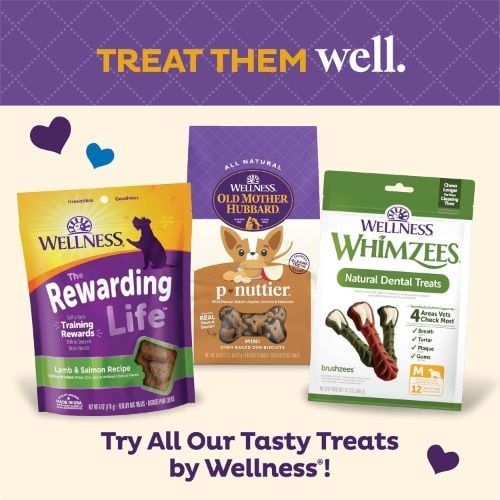 Wellness Old Mother Hubbard Original Mix Dog Biscuits, Oven-baked, Natural, Training Treats, Four Flavors, Large Size, 3.5 Pound, Bag