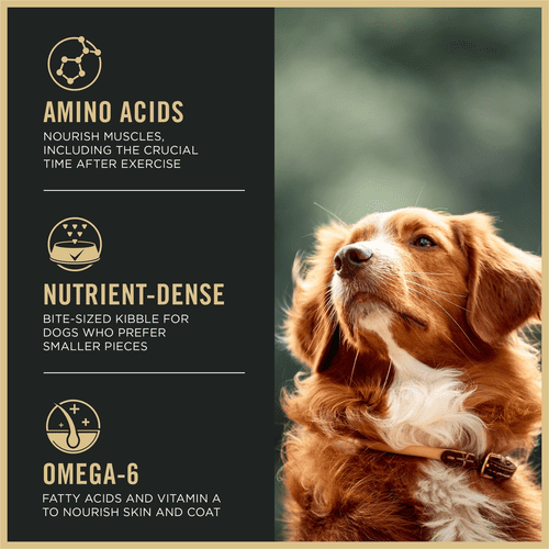 Purina Pro Plan Dry Dog Food for All Ages Active Dogs, Sport Small Bites High-Protein Lamb & Rice Formula, 37.5 lb, Bag