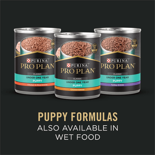 Purina Pro Plan Large Breed Dry Puppy Food, Sensitive Skin & Stomach Salmon & Rice Formula, 16 lb, Bag