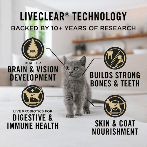 Purina Pro Plan Dry Kitten Food, LiveClear Chicken & Rice Formula, 5.5 lb, Bag
