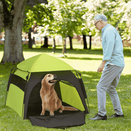 PawHut Green Pop Up Dog Tent