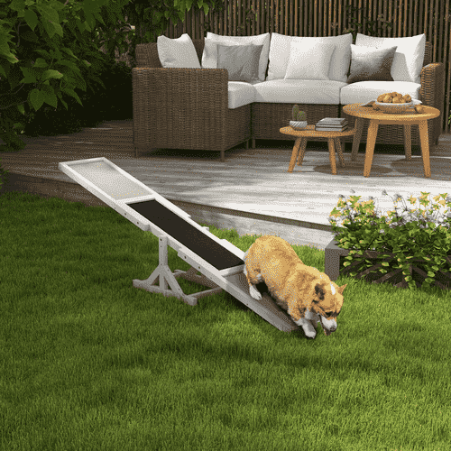 PawHut 70.75 x 11.75 x 11.75-in Wooden Weather Resistant Dog Agility Seesaw for Exercise and Training, White