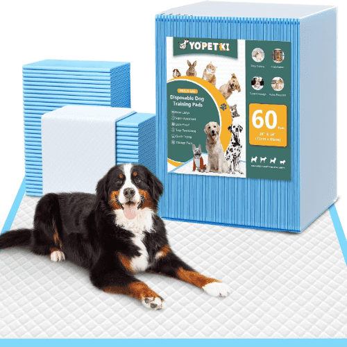 YOPETKI Disposable Quick Drying Leak-Proof Extra Large Dog Pee Pads, Super Absorbent, 28" x 34", 60 Counts